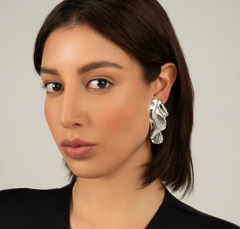 Aretes Cordillera Plateado
